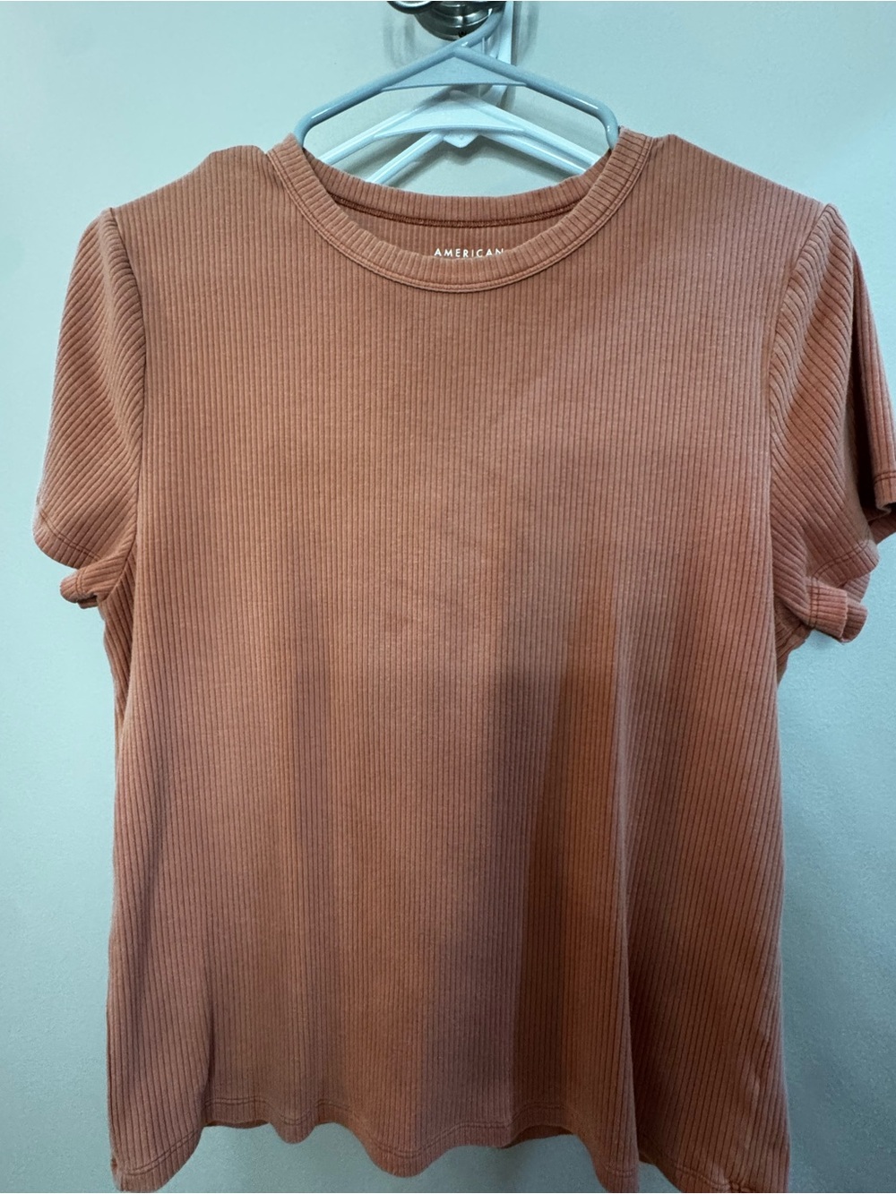 American Eagle Outfitters Ribbed Short-Sleeve Tee in Rust